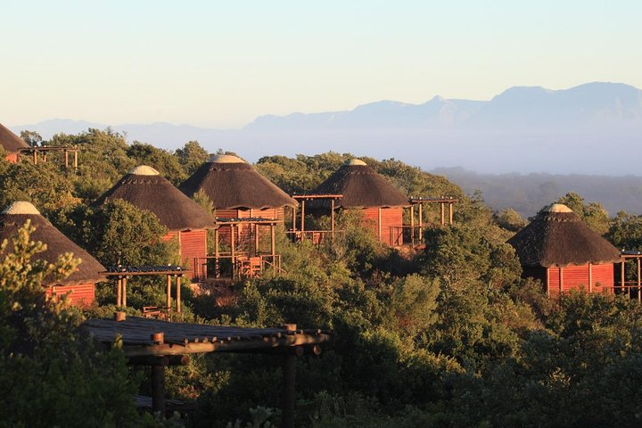 2 Day Safari Experience from Cape Town - Photo 1 of 25